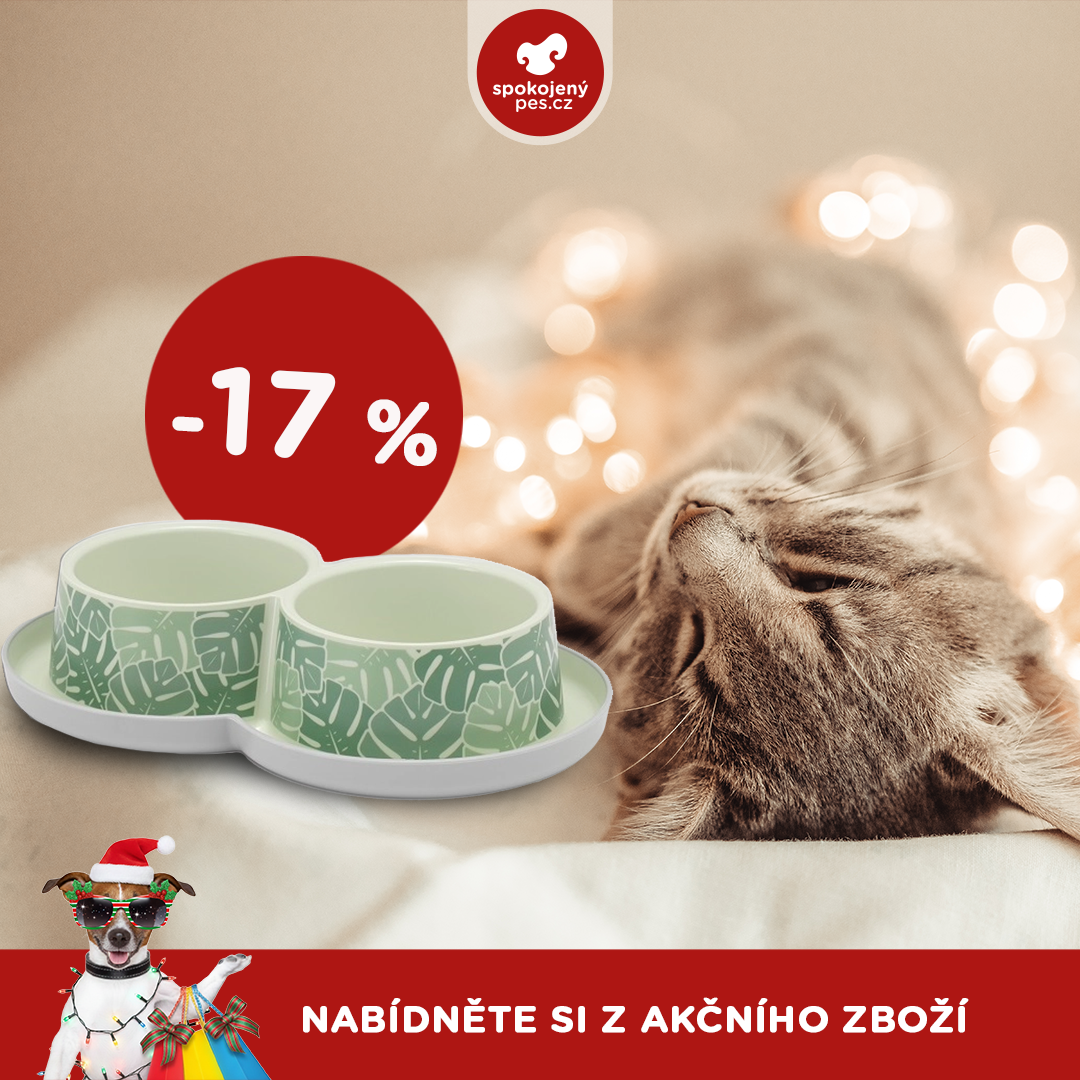 akční prosinec_kočka7.png